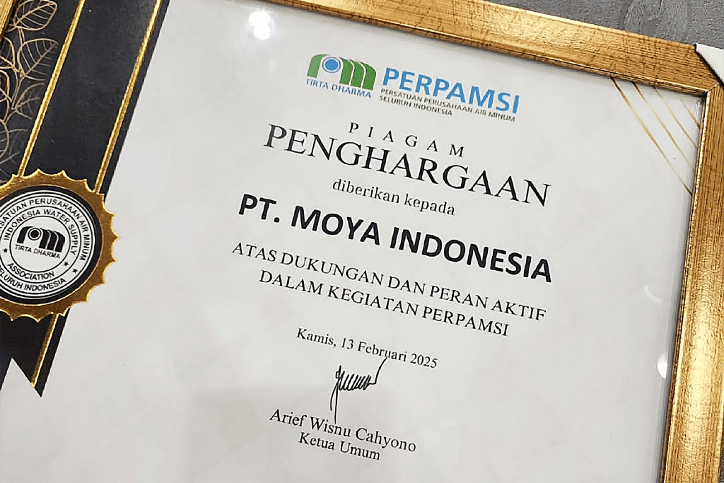 Penghargaan Anggota Luar Biasa Perpamsi 2025